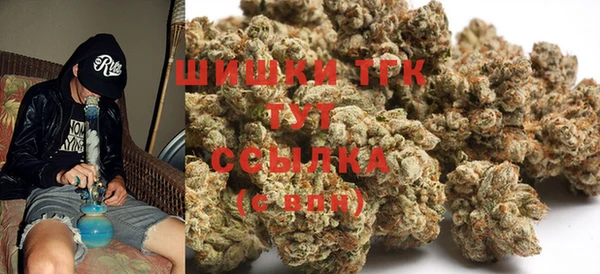 тгк Алзамай