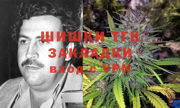 тгк Алзамай