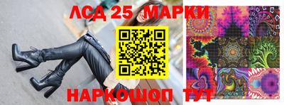 гидра Нальчик