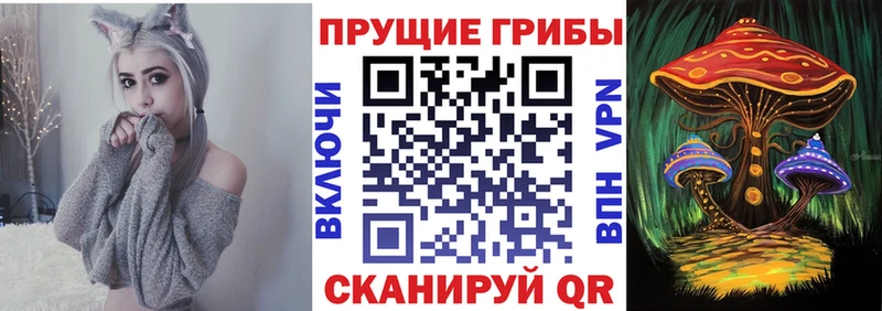 Псилоцибиновые грибы MAGIC MUSHROOMS Чайковский