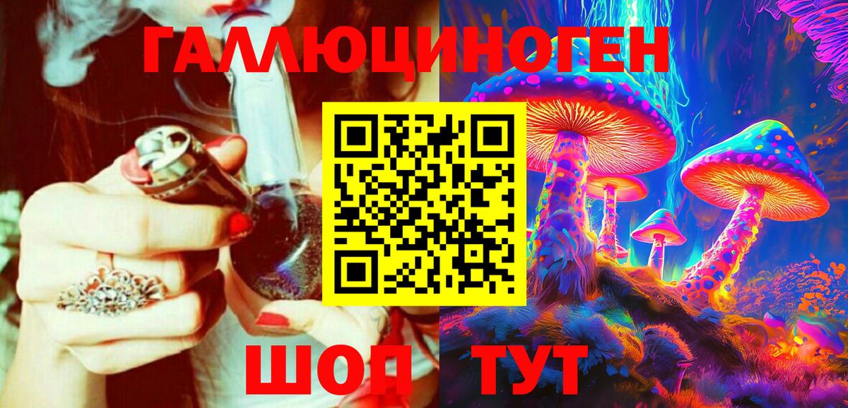 Псилоцибиновые грибы Psilocybe  Вход с VPN  Чайковский 